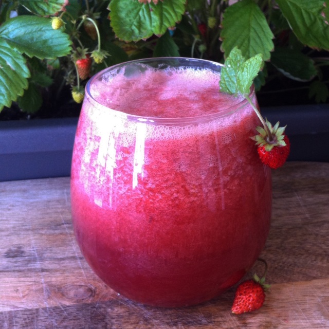 Apple Celery Ginger and Wild Strawberry Juice